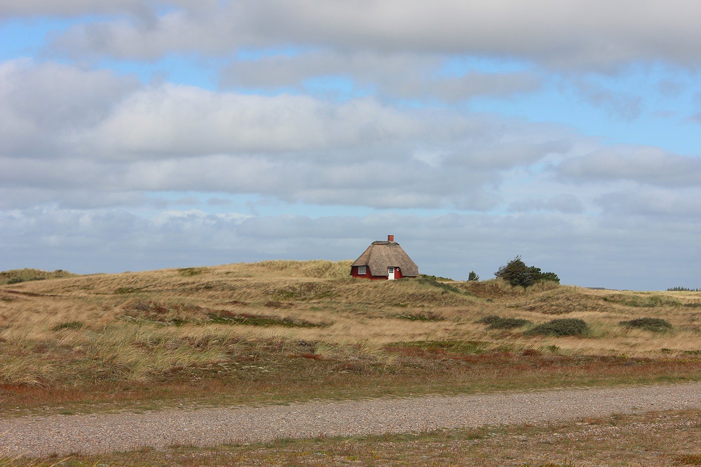 Anja_Elbrandt-Hanke-2