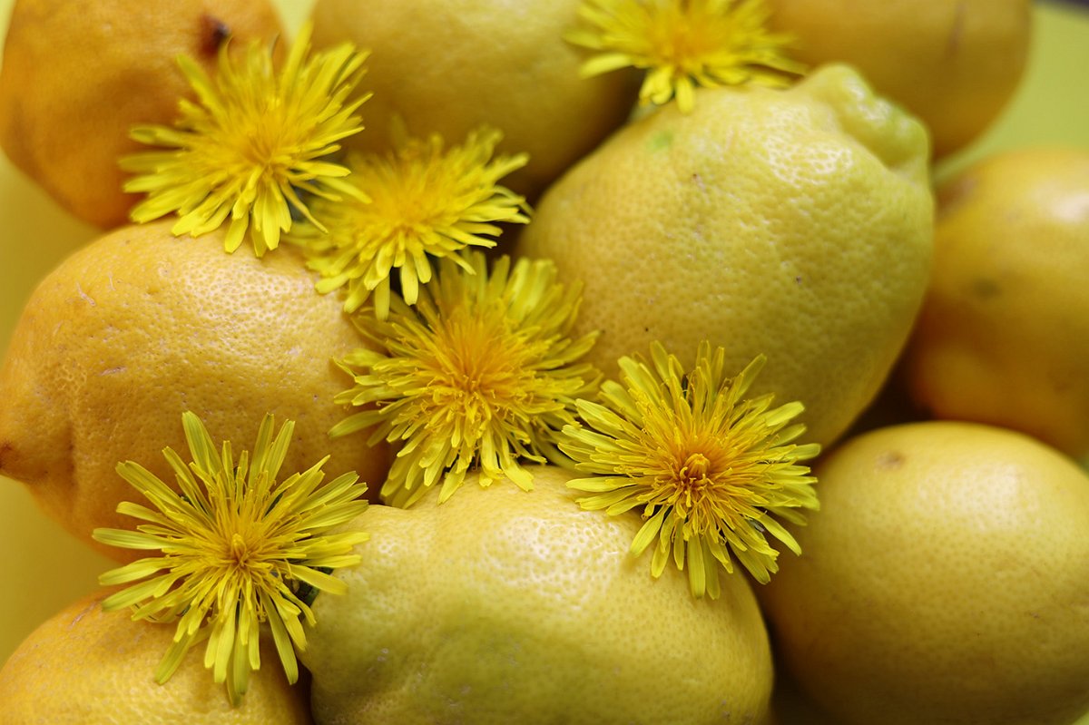 Anja_Elbrandt-Hanke-1