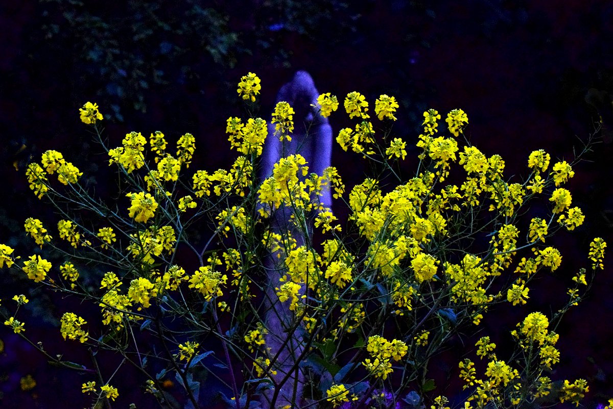 Dieter_Onken-3