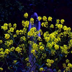 Dieter_Onken-3