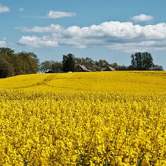 Eberhard_Altstaedt-3