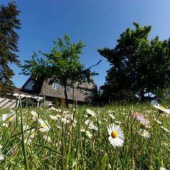Hartmut_Hasse-1