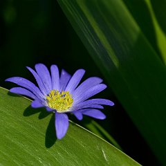 Ulrich_Reiss-1