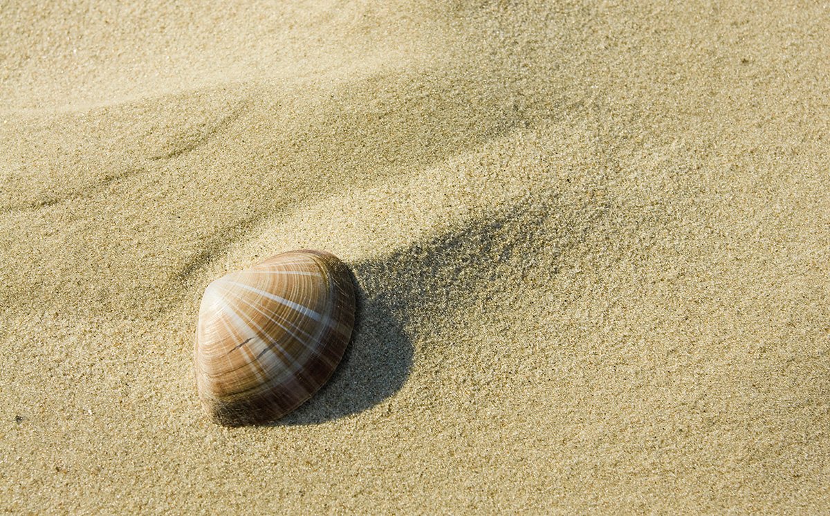 Hartmut_Hasse-1