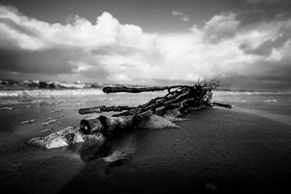 Roswitha_Weber-3