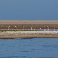 Bernd_Gruschwitz-3