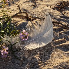 Edyta_Finaske-1