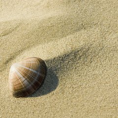 Hartmut_Hasse-1