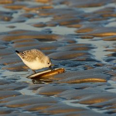 Hartmut_Hasse-2