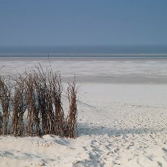 Hartmut_Hasse-3