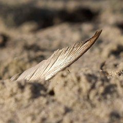Manfred_Malth-2