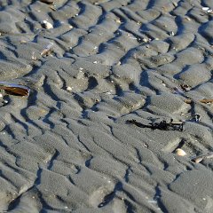 Michael_Brose-1