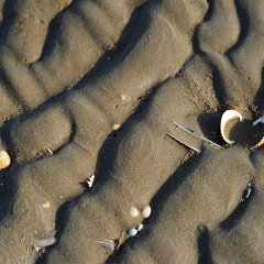 Michael_Brose-2
