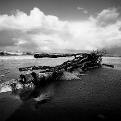 Roswitha_Weber-3