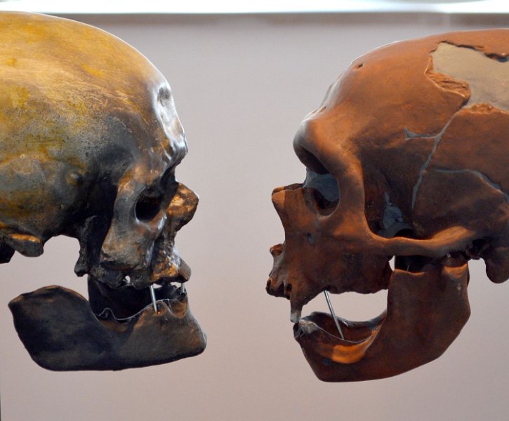 FFV-Bernd_Grunschwitz-1