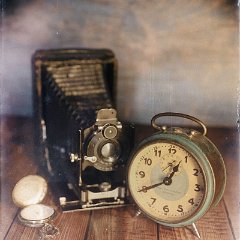 FFV-Roswitha_Weber-1